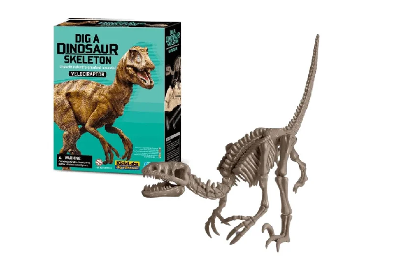 Hand - Painted Wooden Educational Toys in a Historical and Cultural ThemeDig a Dinosaur Skeleton- Velociraptor