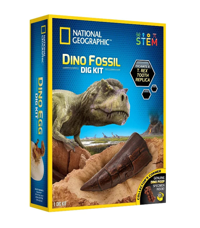 Natural Finish Wooden Educational Toys with a Music - Making Function for 3 - 5 Year OldsDino Fossil Dig Kit