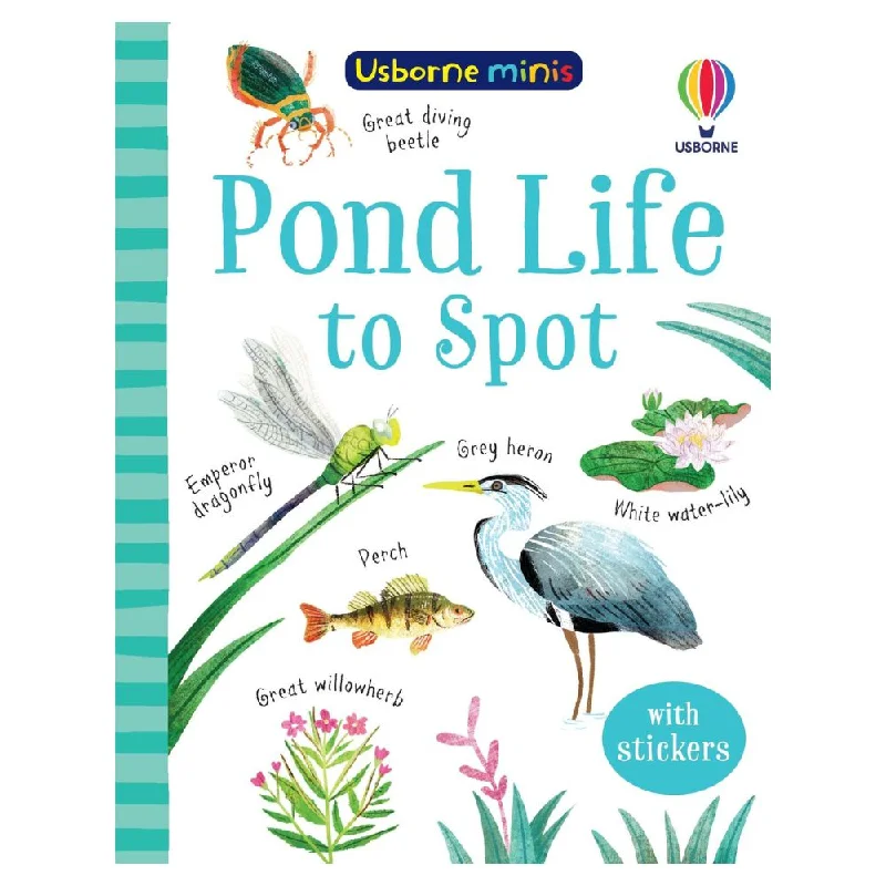 Solid Wood Educational Toys with a Math - Problem - Solving ChallengeUsborne Mini Pond Life To Spot